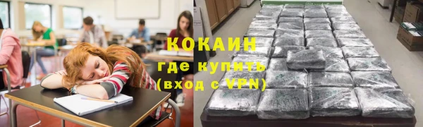 дурь Пересвет