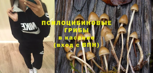 apvp Алзамай