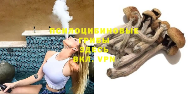 apvp Алзамай