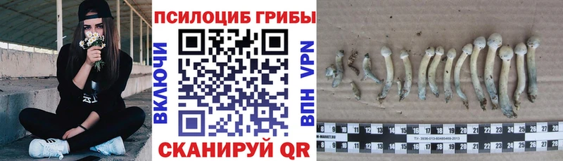 даркнет сайт  omg   Галлюциногенные грибы мухоморы  Полысаево 
